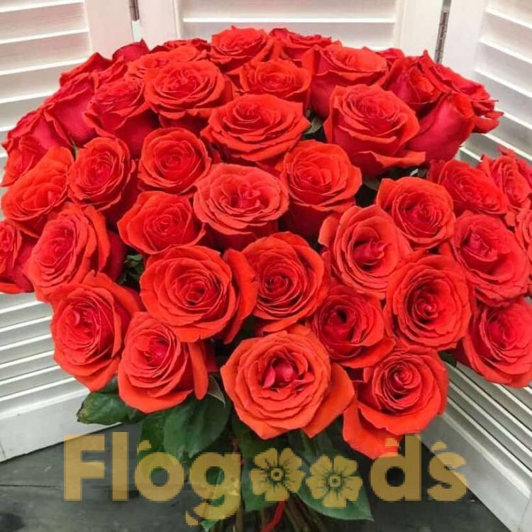 51 красная роза за 19 564 руб.